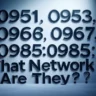 0951, 0953, 0966, 0967, 0985 What Network Are They